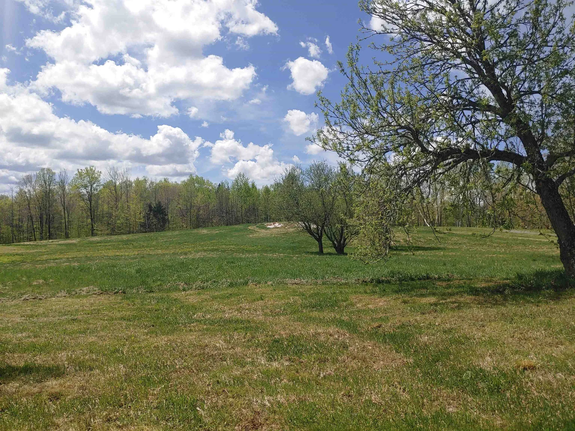 586 Atwell Hill Road Wentworth NH 03282
