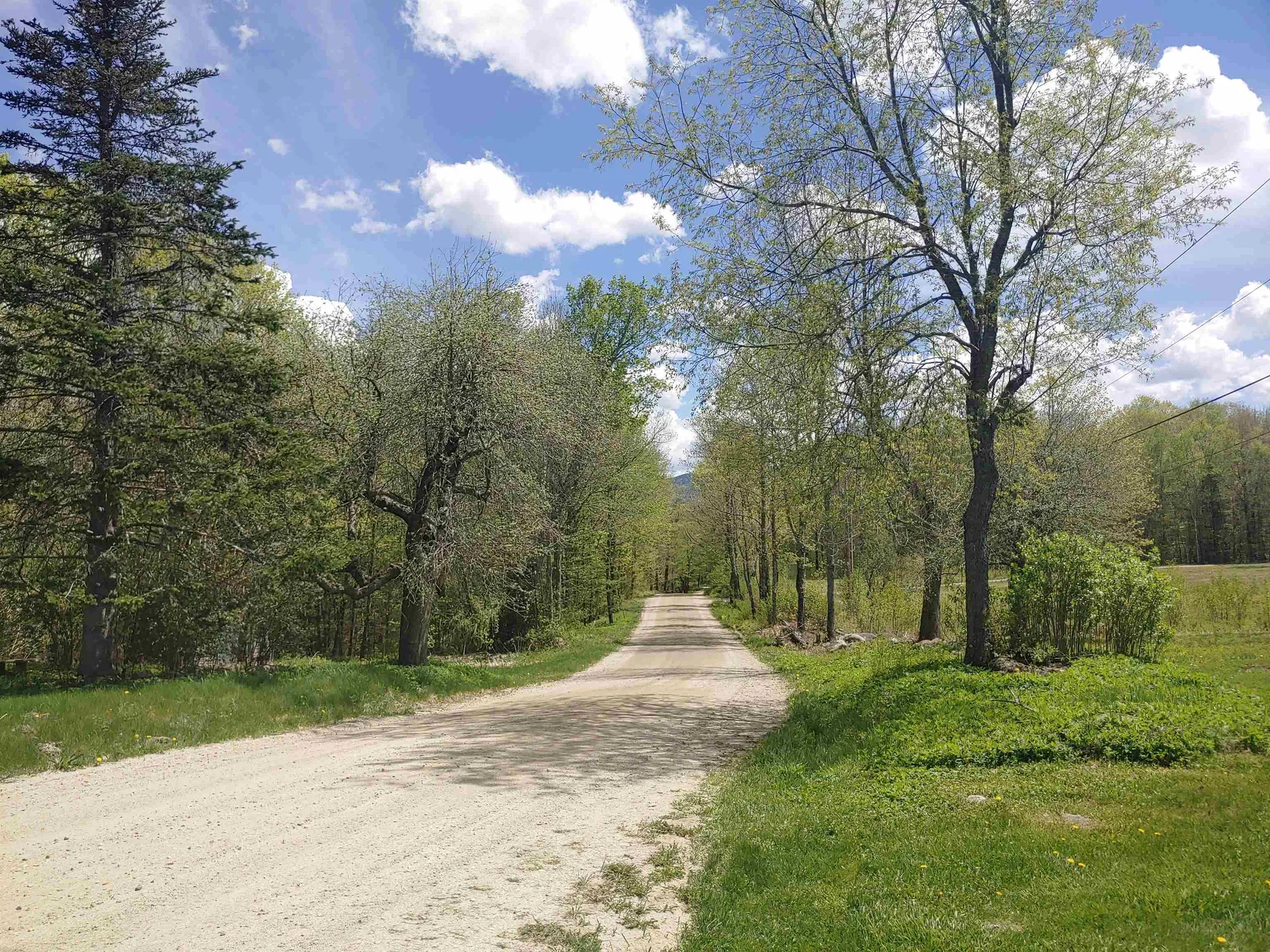 586 Atwell Hill Road Wentworth NH 03282
