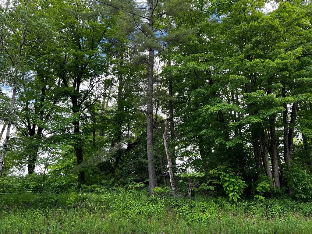 2554 Calendar Brook Road Sutton VT 05867