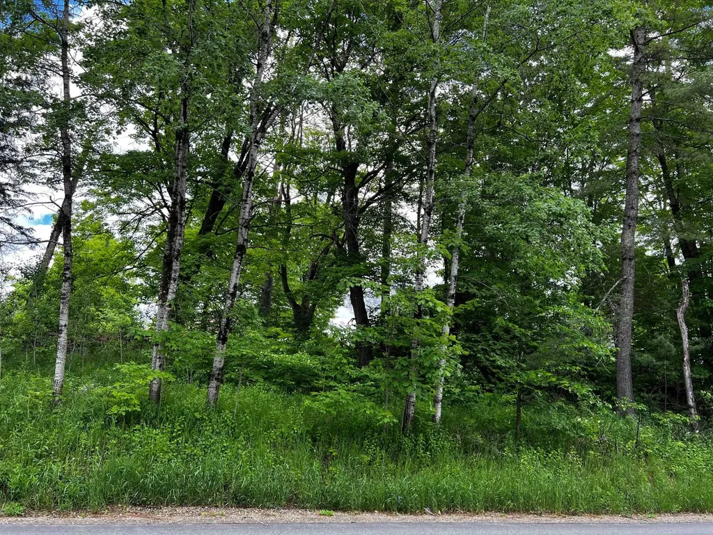 2554 Calendar Brook Road Sutton VT 05867