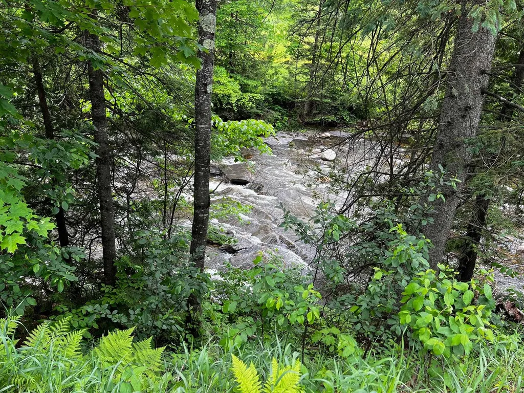 2554 Calendar Brook Road Sutton VT 05867