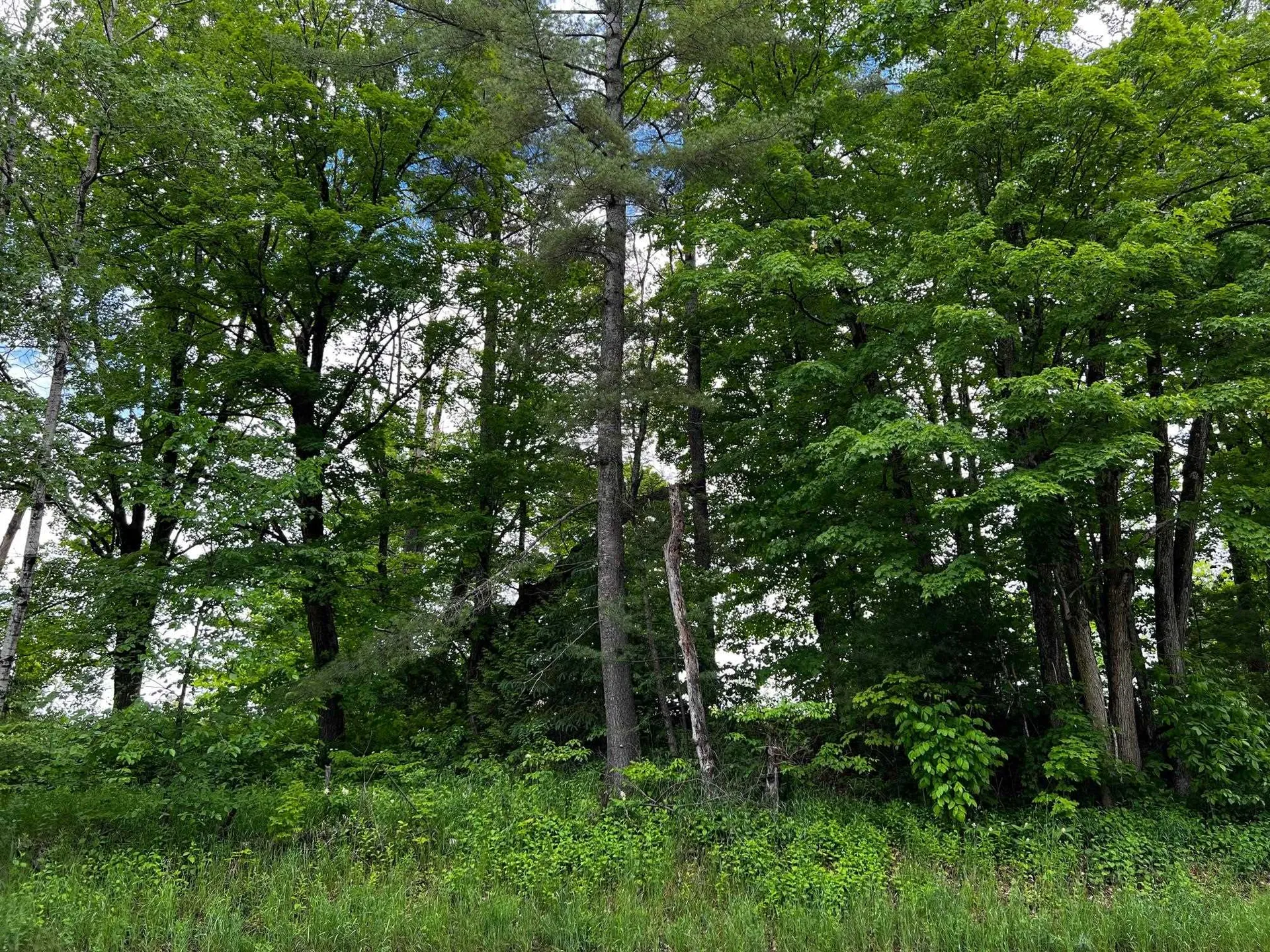 2554 Calendar Brook Road Sutton VT 05867