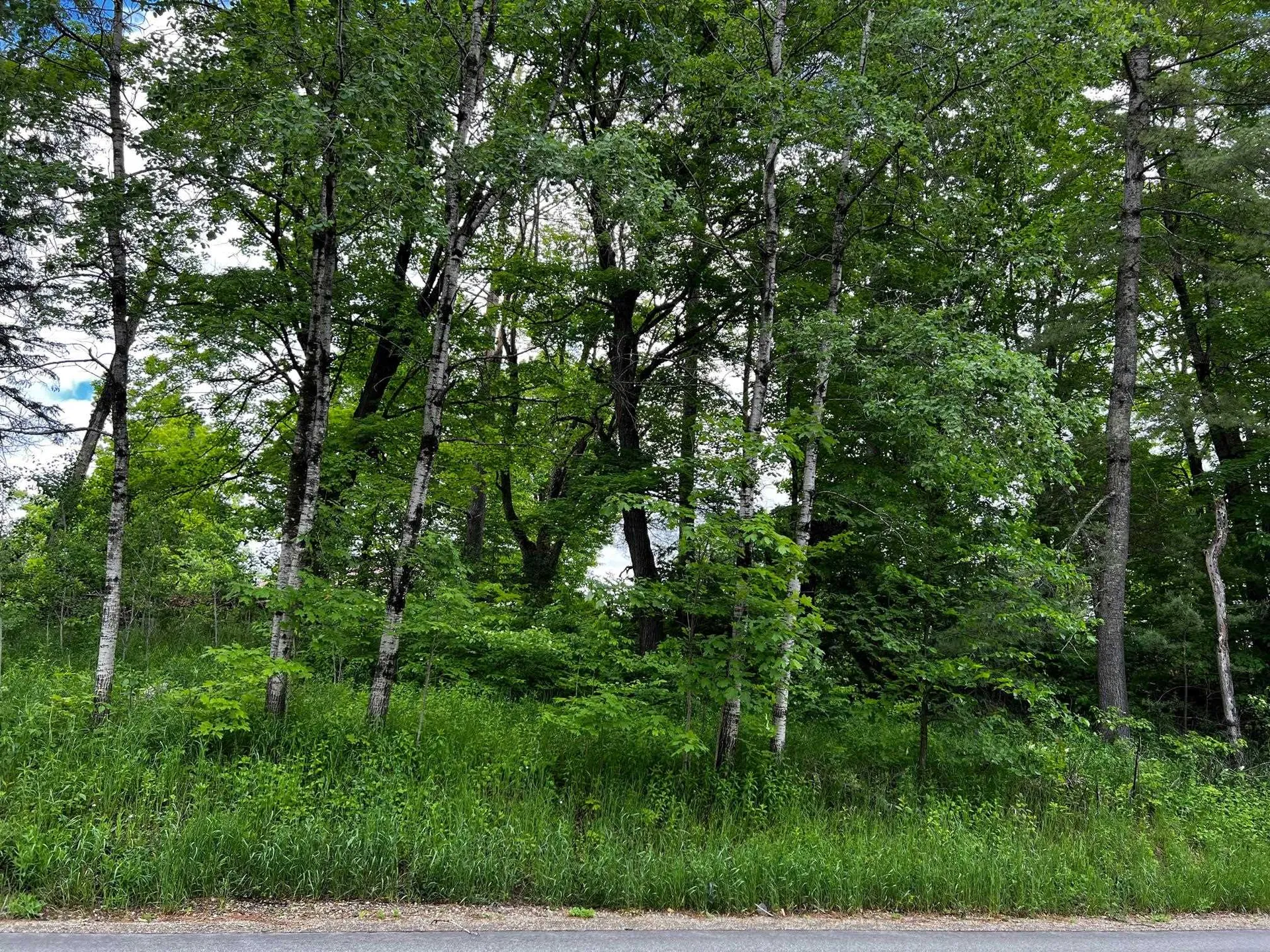 2554 Calendar Brook Road Sutton VT 05867