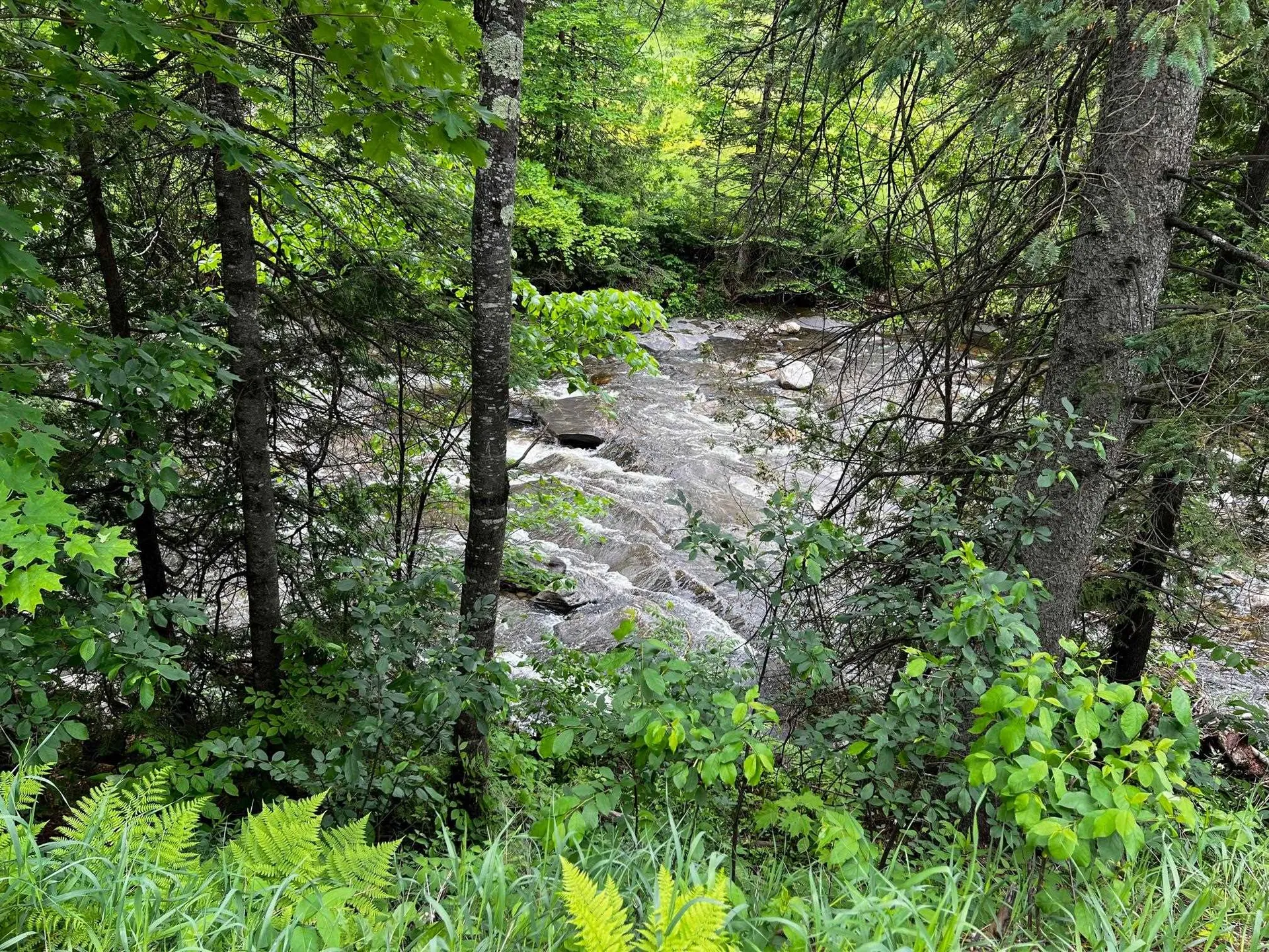 2554 Calendar Brook Road Sutton VT 05867
