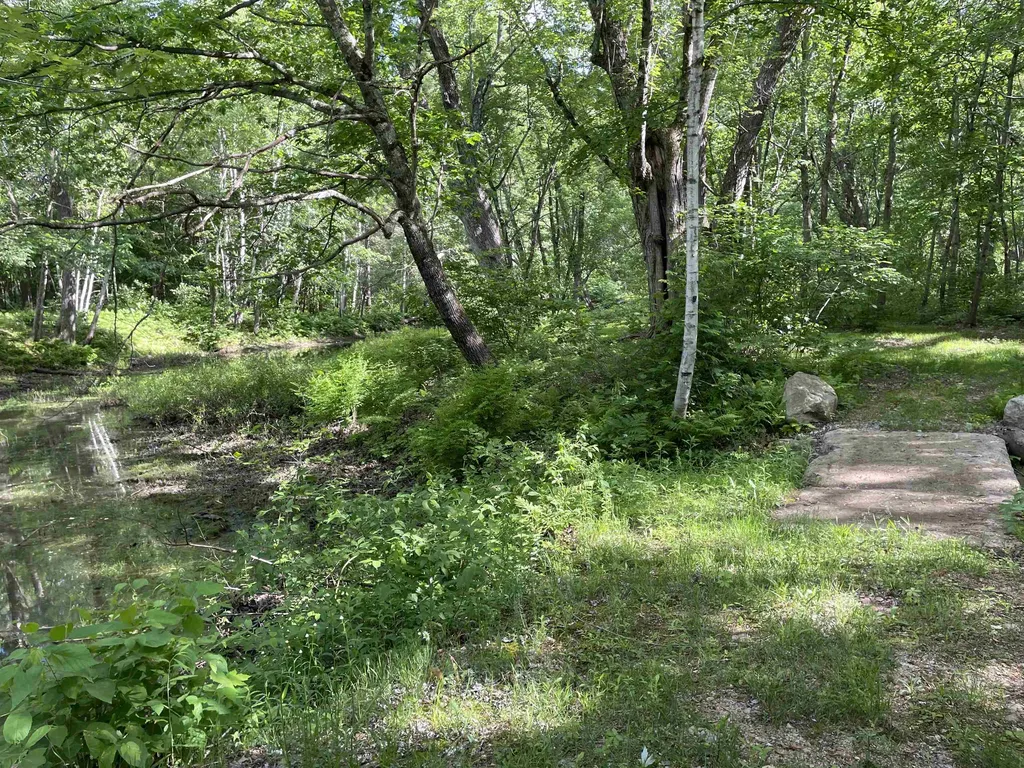 2245 Route 16 Ossipee NH 03864
