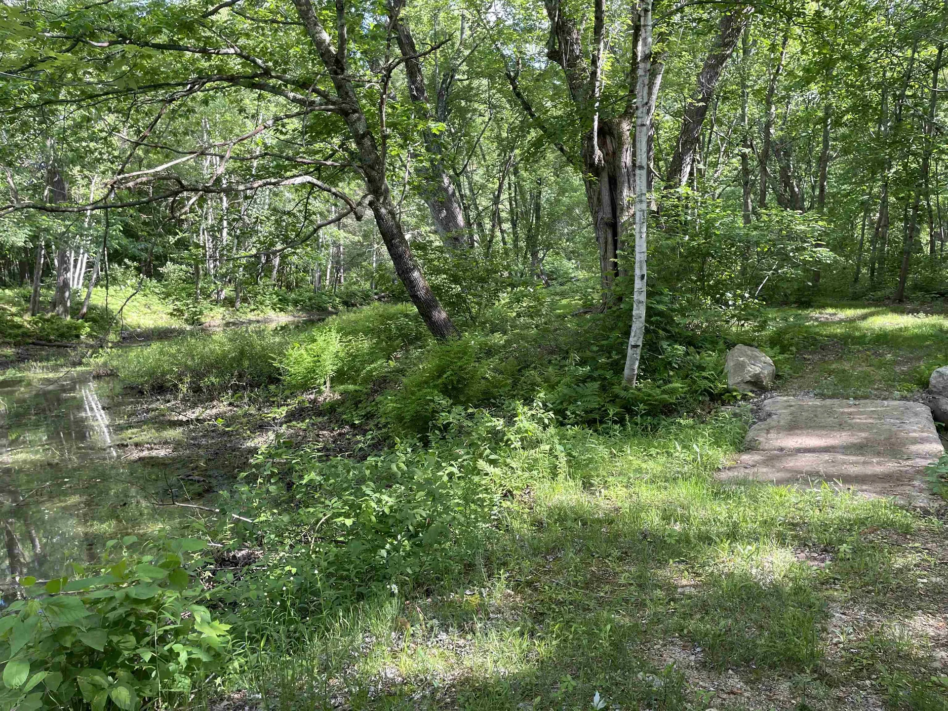 2245 Route 16 Ossipee NH 03864