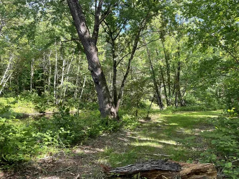 2245 Route 16 Ossipee NH 03864