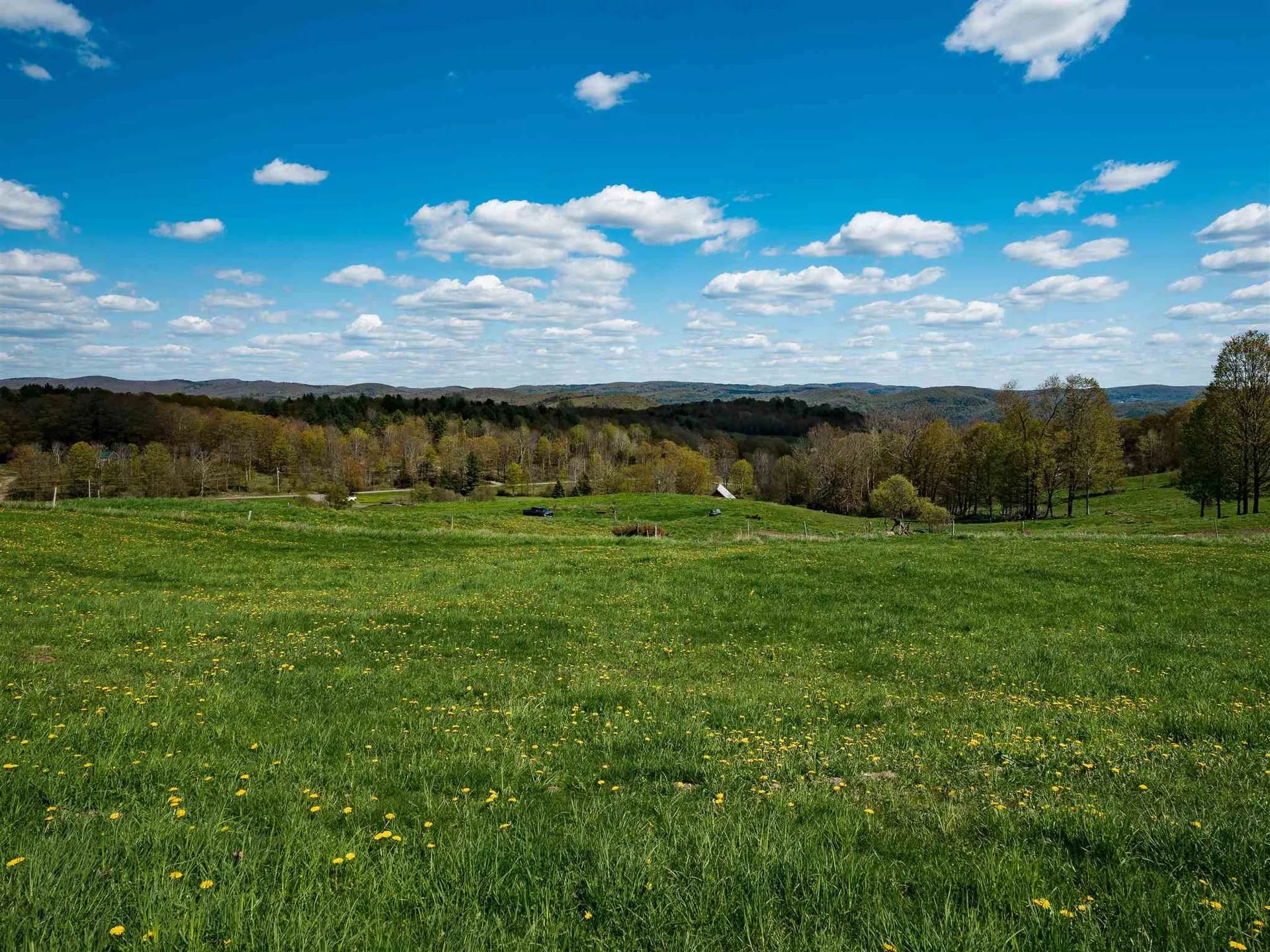 191 Monarch Hill Road Tunbridge VT 05077