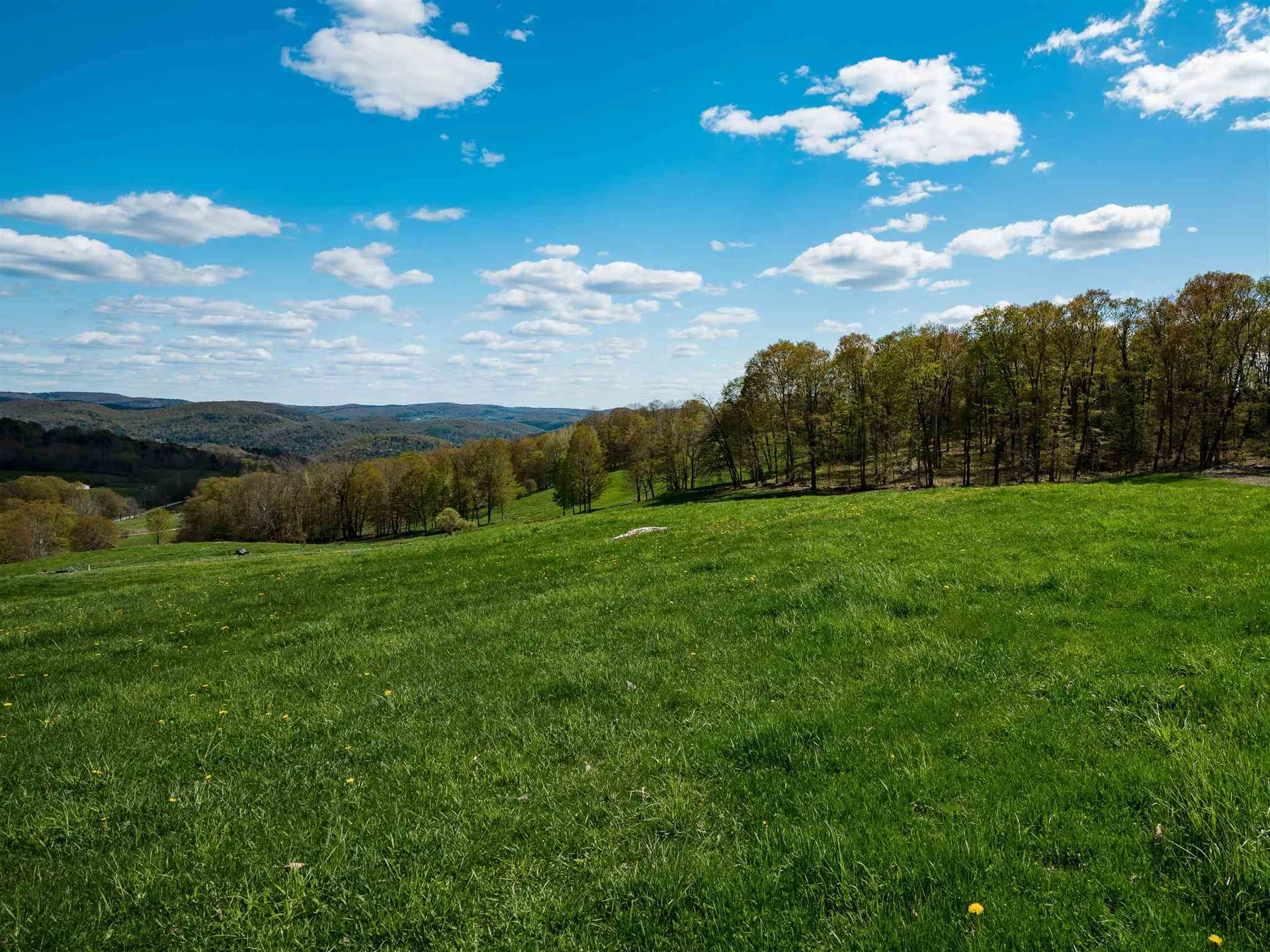 191 Monarch Hill Road Tunbridge VT 05077