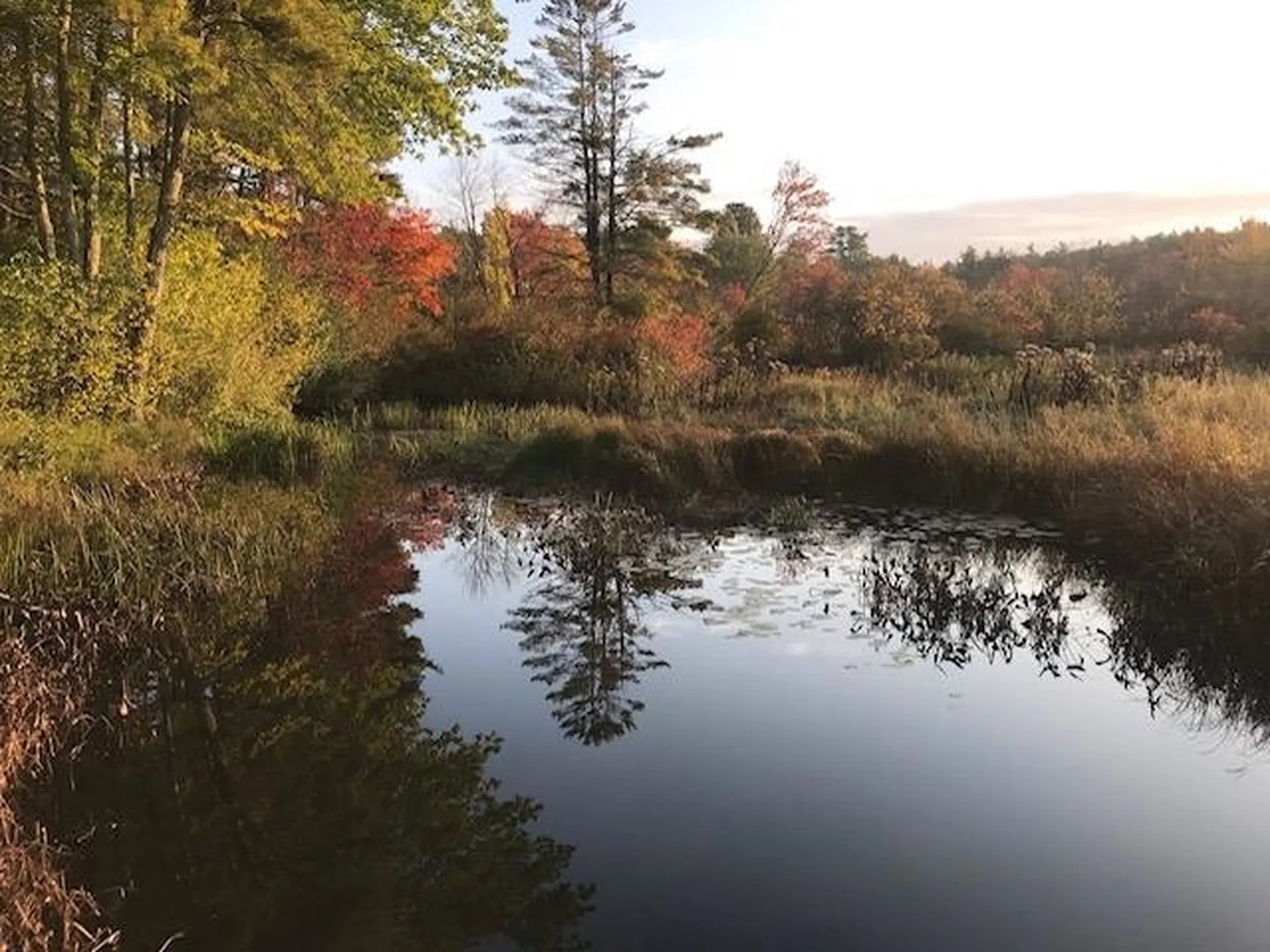 37 Hermit Woods Road Sanbornton NH 03269
