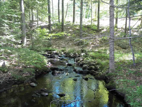30 Thurston Pond Road Deerfield NH 03037
