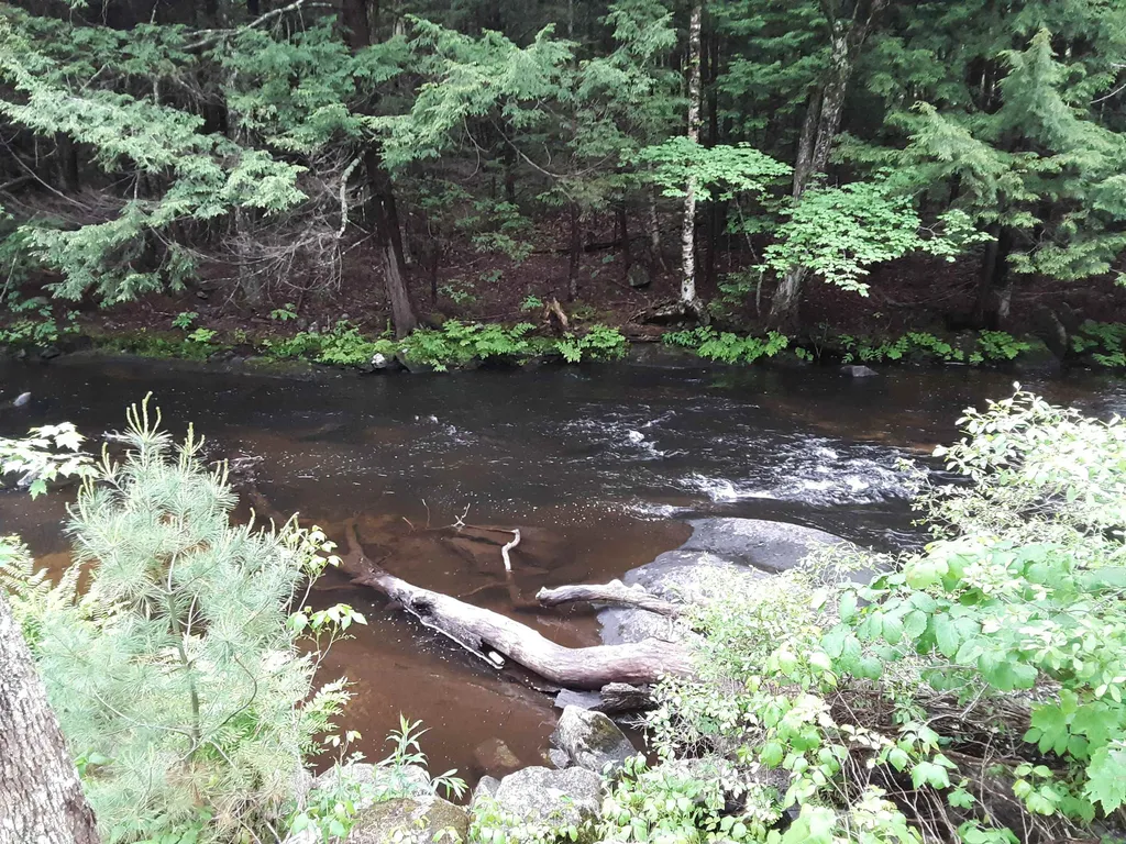 433 Nh Route 25a Wentworth NH 03282