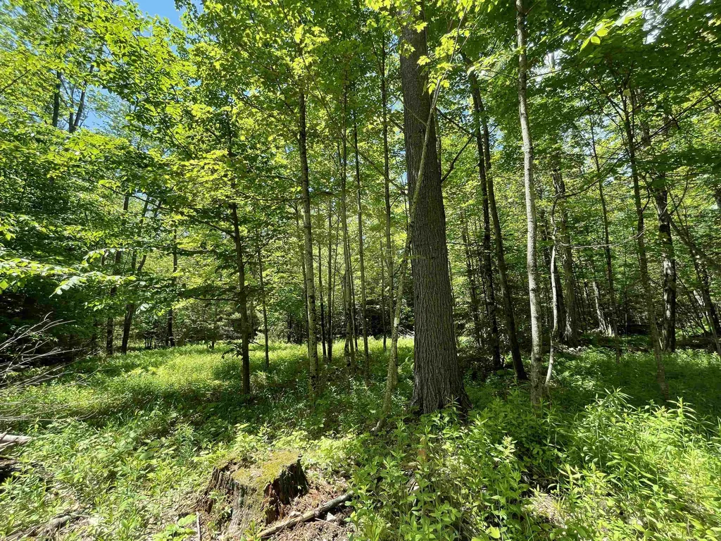 0 George Hill Road Enfield NH 03748