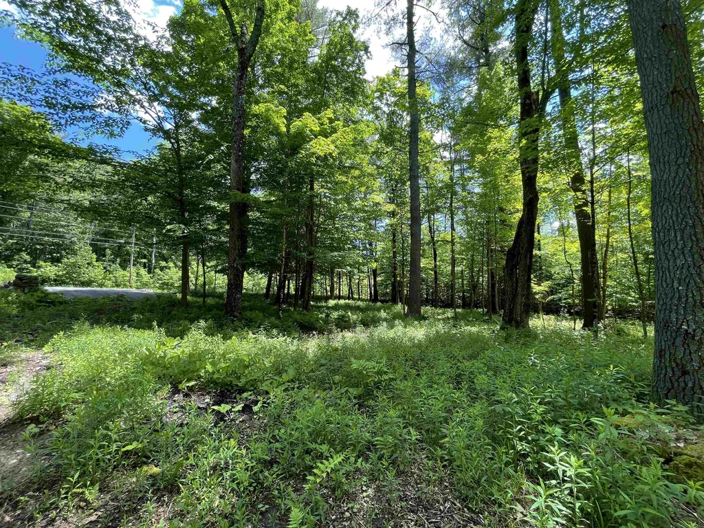 0 George Hill Road Enfield NH 03748