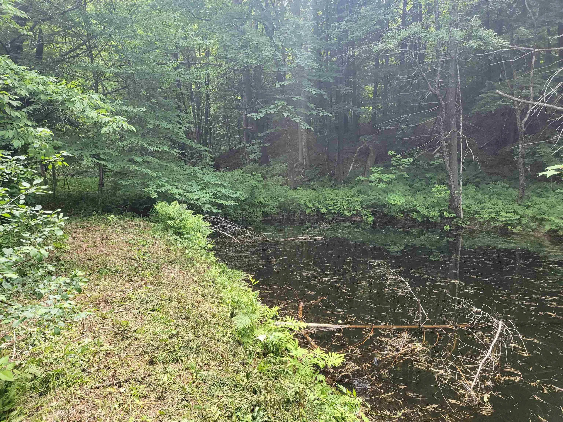 667 Nh Route 120 Cornish NH 03745