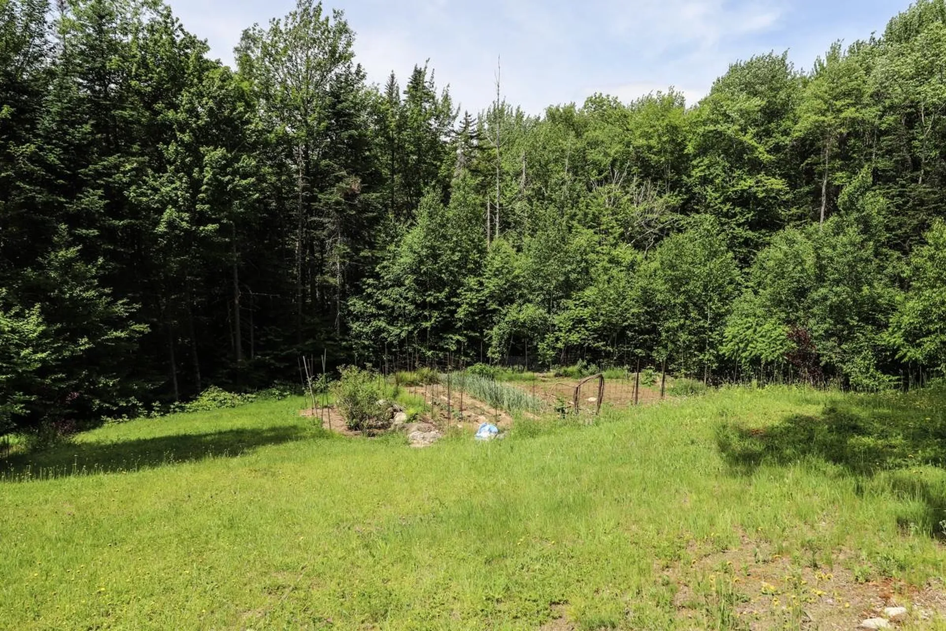 50 Old County Road Weston VT 05161