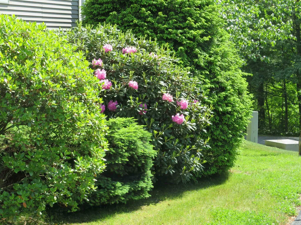 30 Wolf Road Lebanon NH 03766