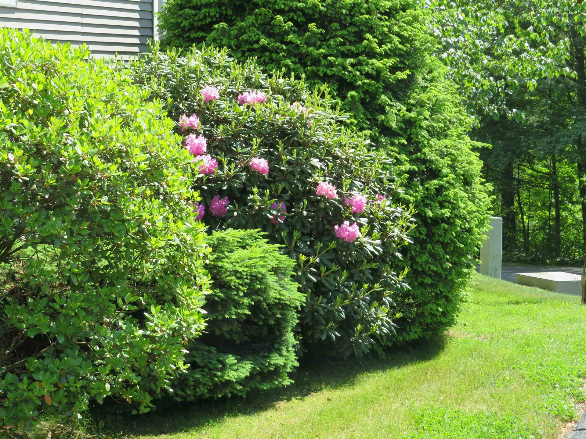 30 Wolf Road Lebanon NH 03766