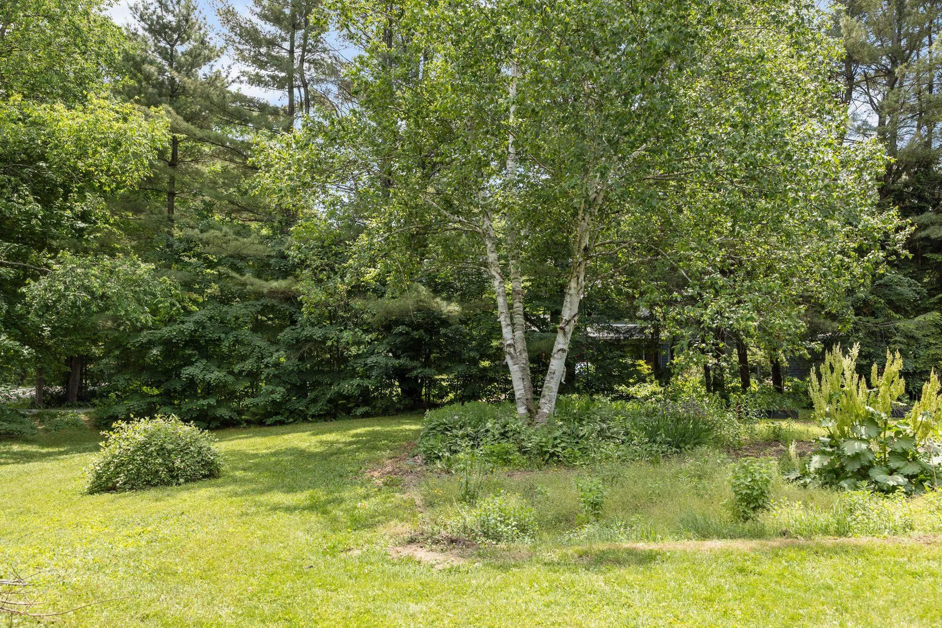 3a Starbird Road Jericho VT 05465