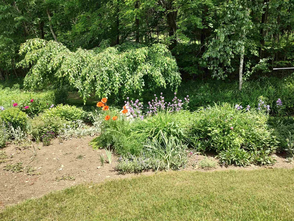 379 Gilead Brook Road Bethel VT 05032