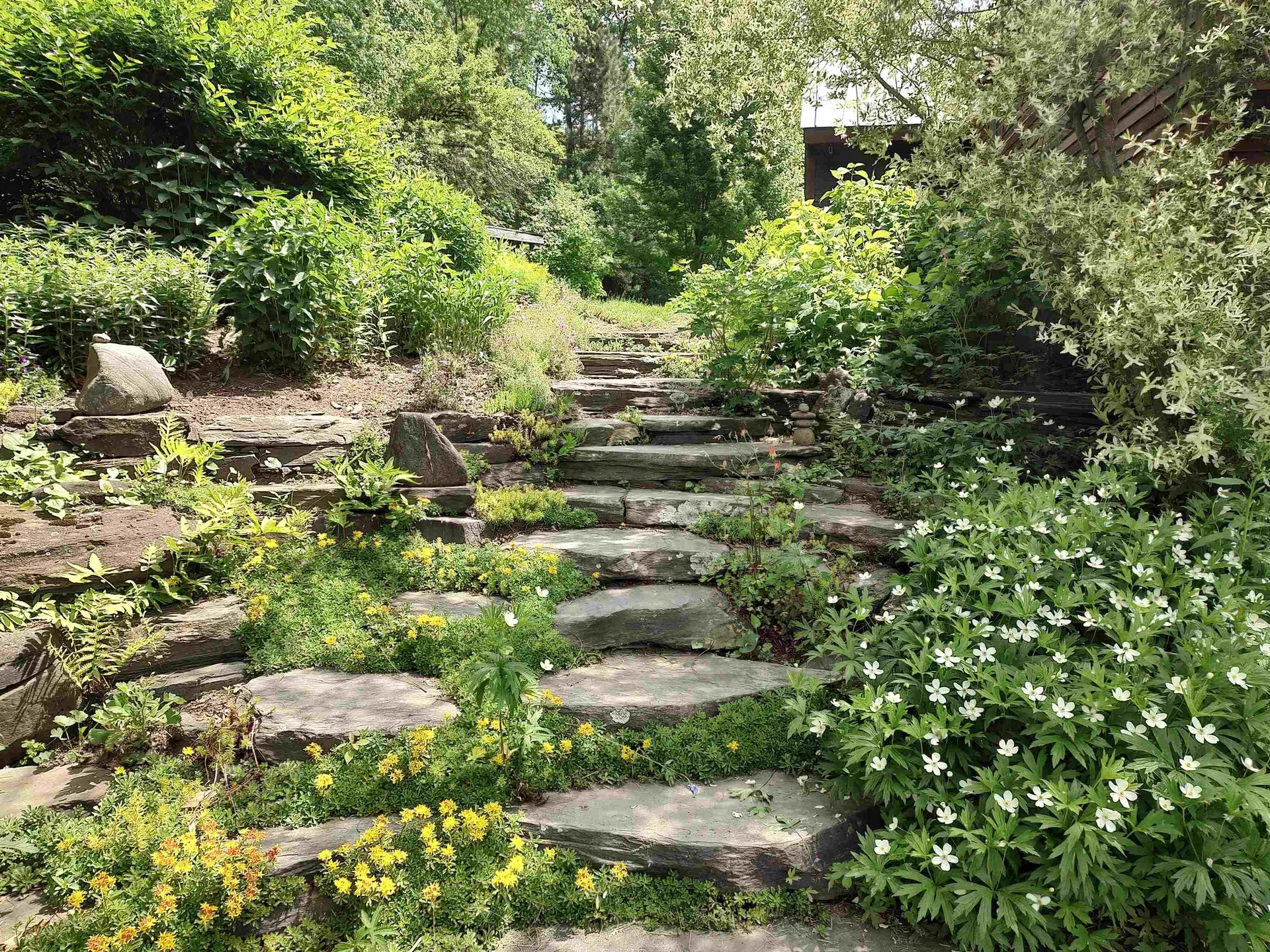 379 Gilead Brook Road Bethel VT 05032