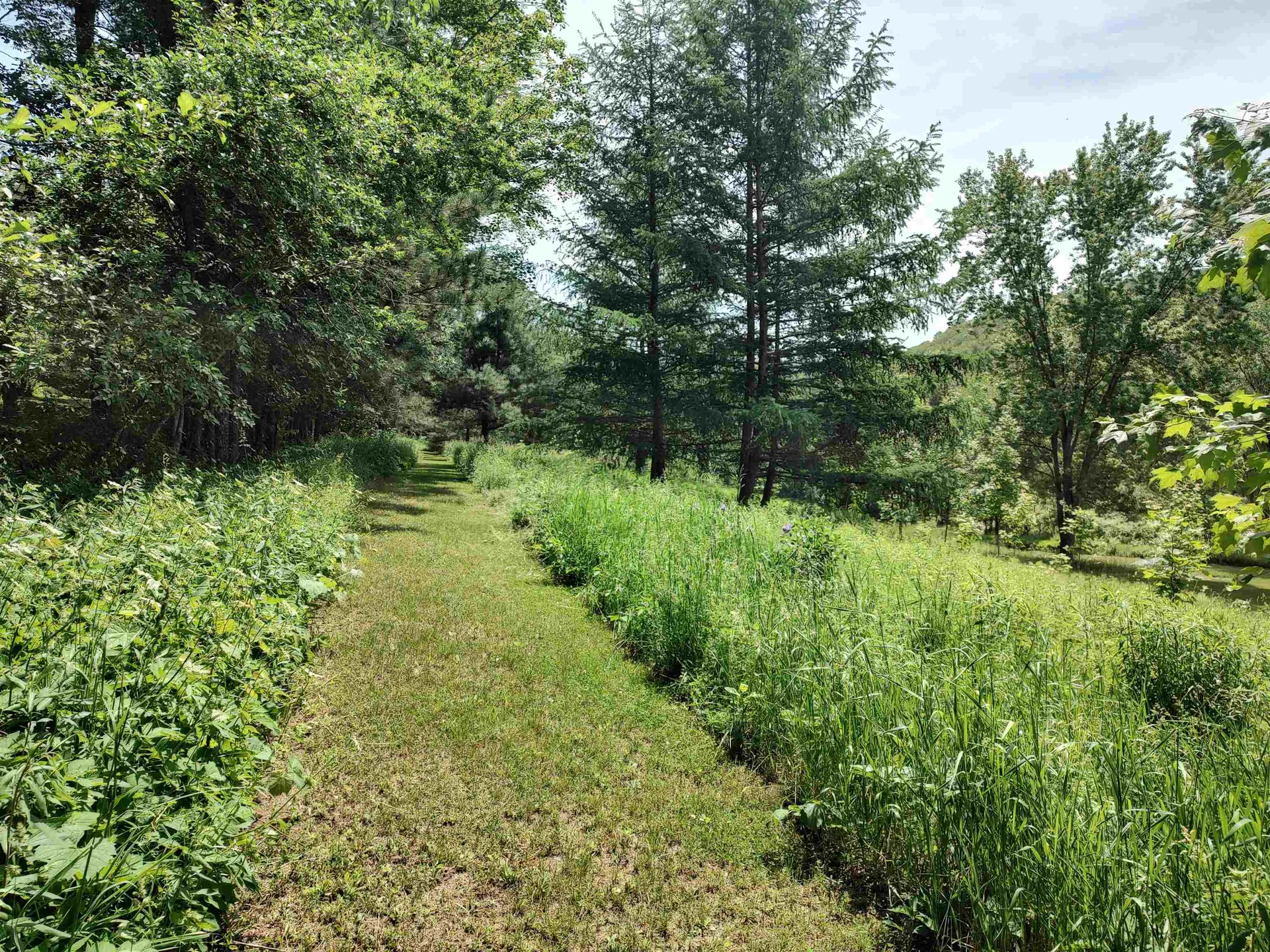 379 Gilead Brook Road Bethel VT 05032