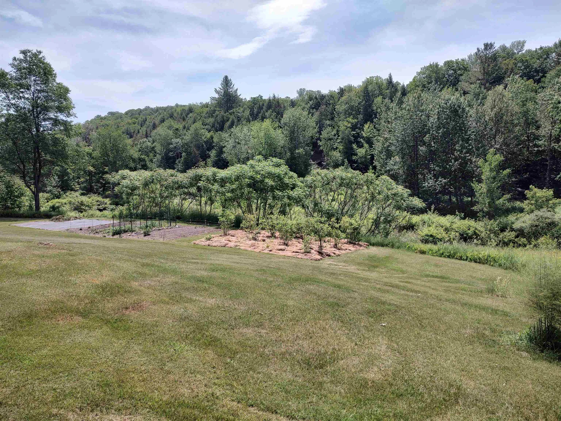 379 Gilead Brook Road Bethel VT 05032