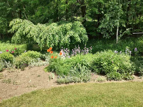 379 Gilead Brook Road Bethel VT 05032