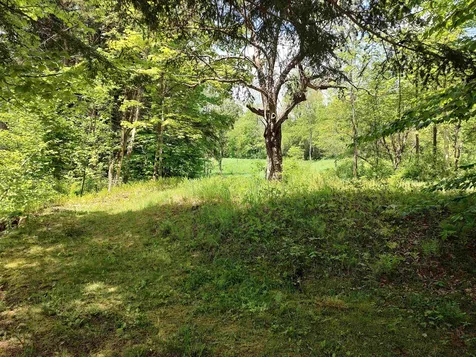 379 Gilead Brook Road Bethel VT 05032