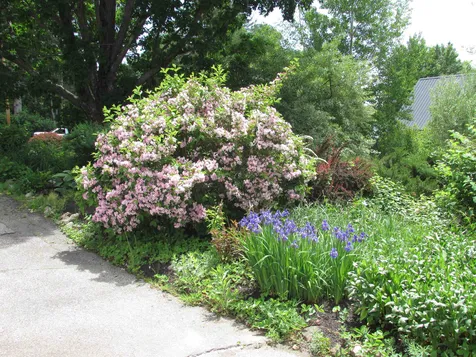25 Old Wolfeboro Road Alton NH 03809