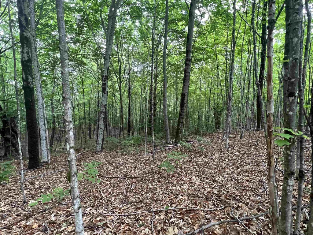 2 Whittelsey Lane Hartland VT 05048