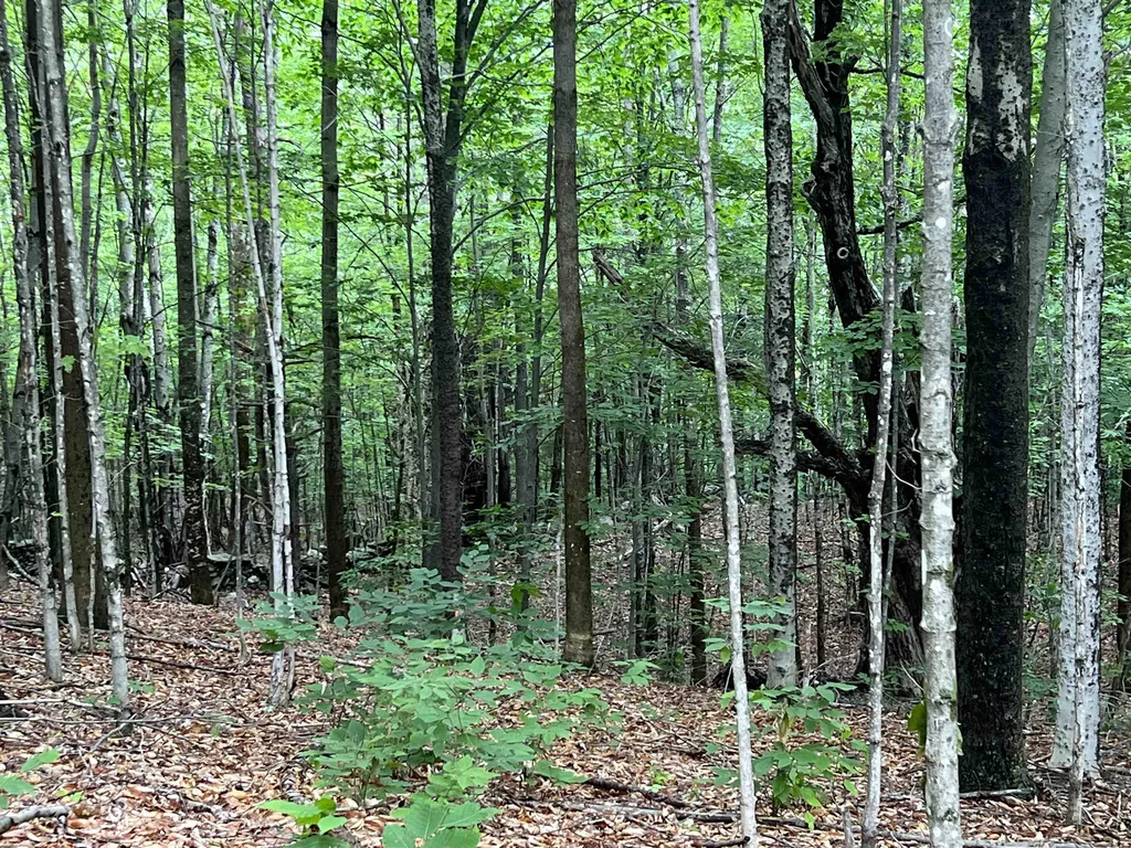 2 Whittelsey Lane Hartland VT 05048
