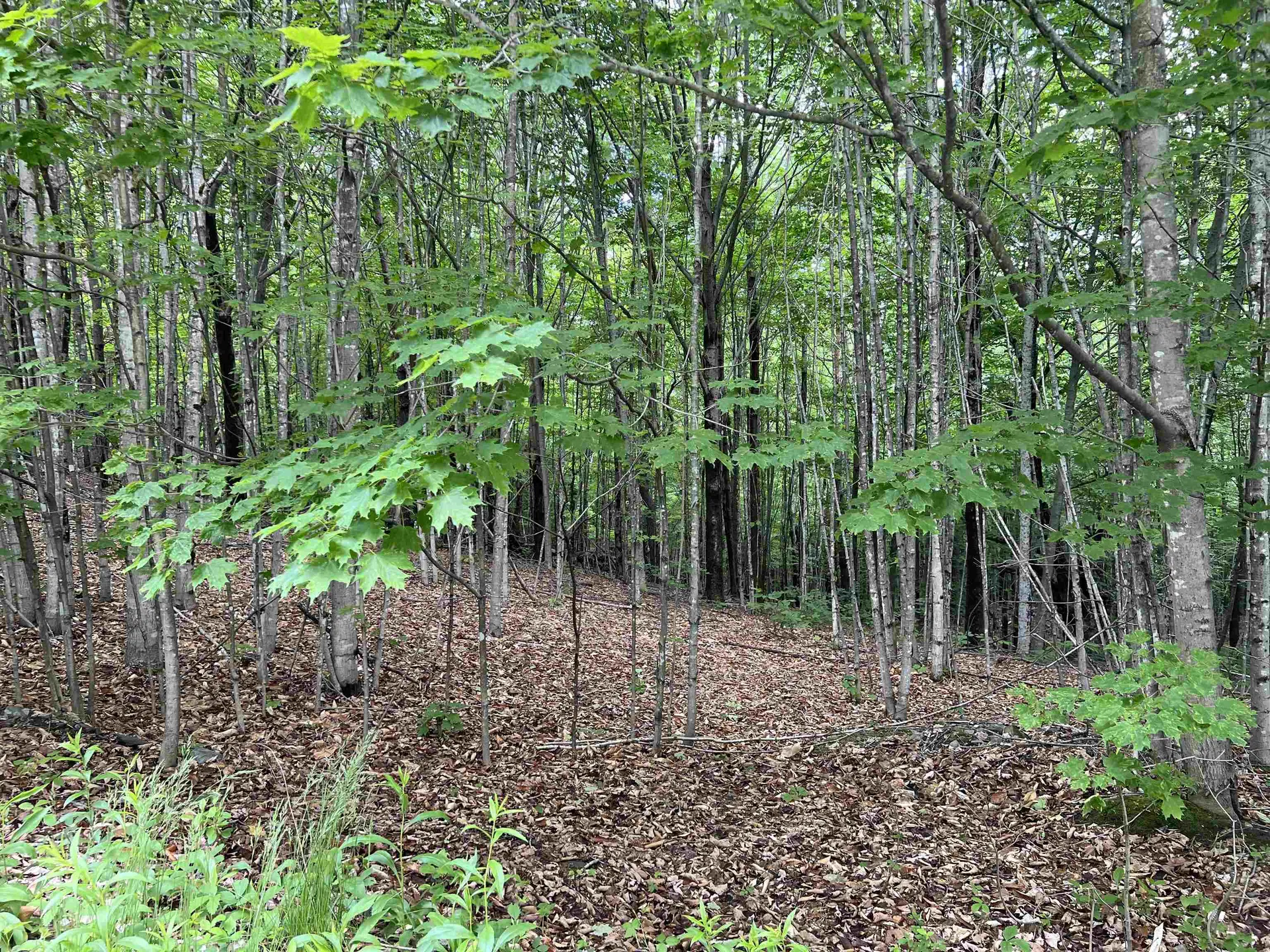2 Whittelsey Lane Hartland VT 05048