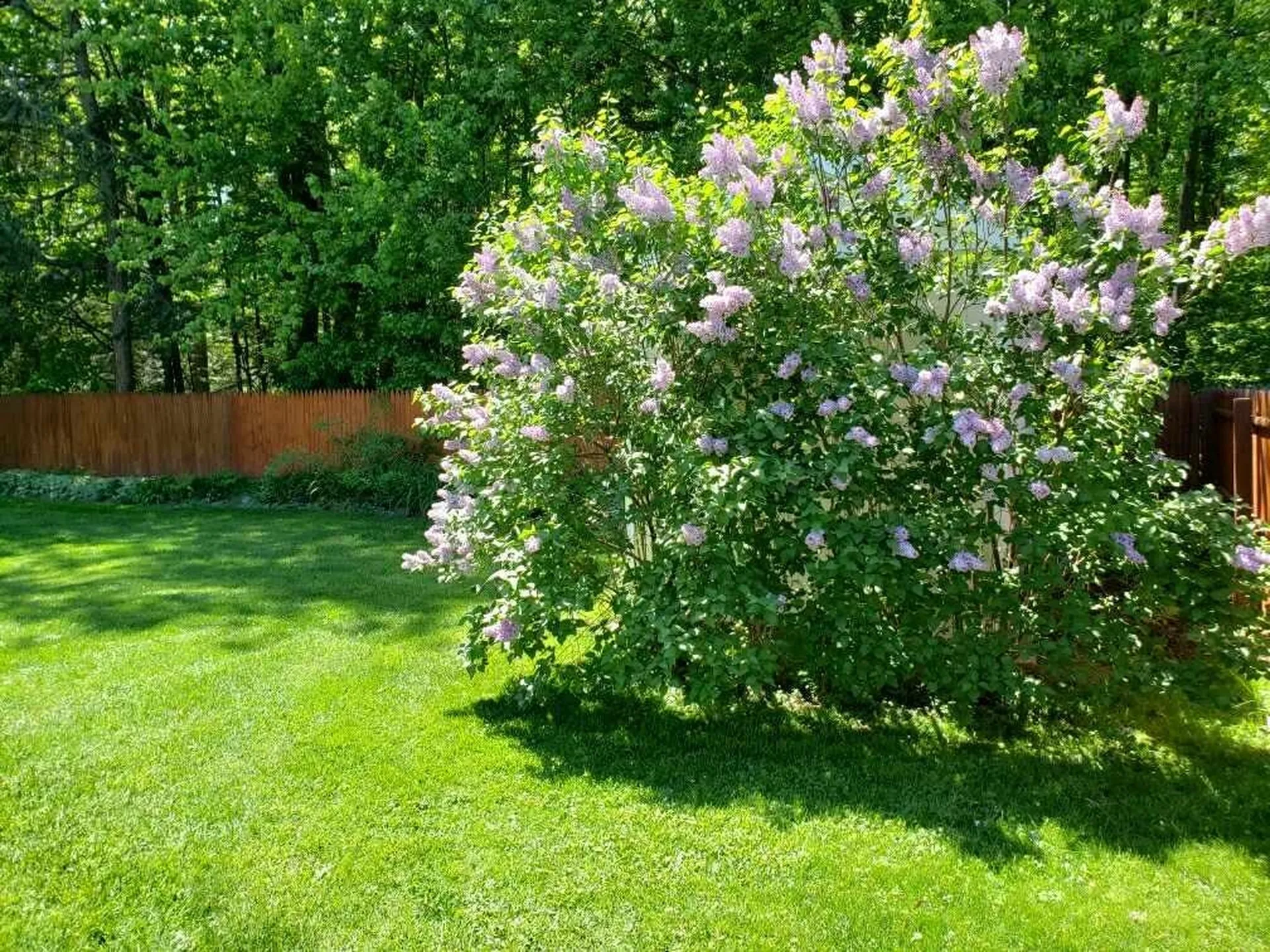 195 James Avenue Burlington VT 05408