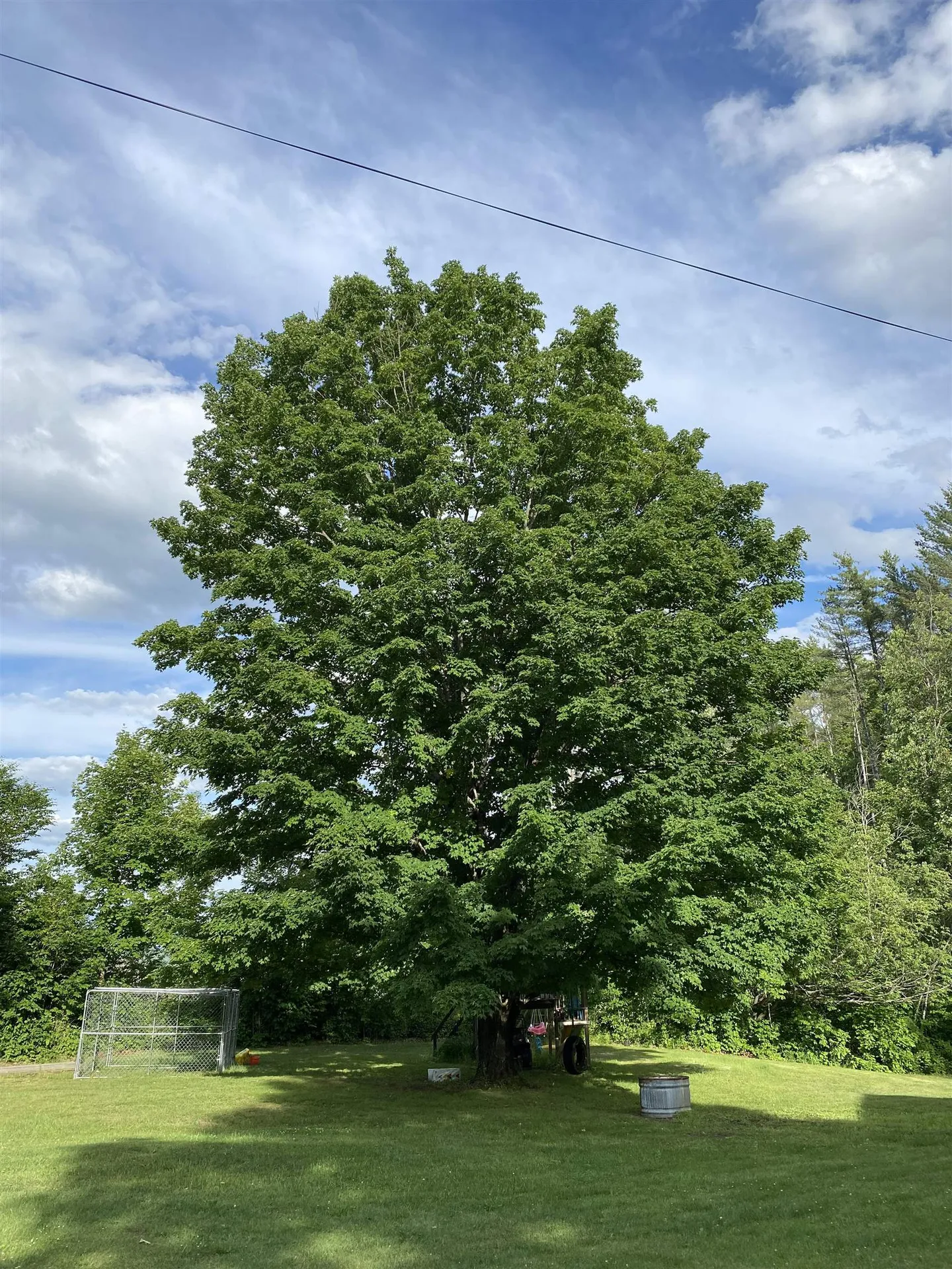 971 Hawkins Road Danville VT 05828