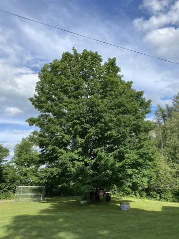 971 Hawkins Road Danville VT 05828