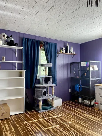 971 Hawkins Road Danville VT 05828