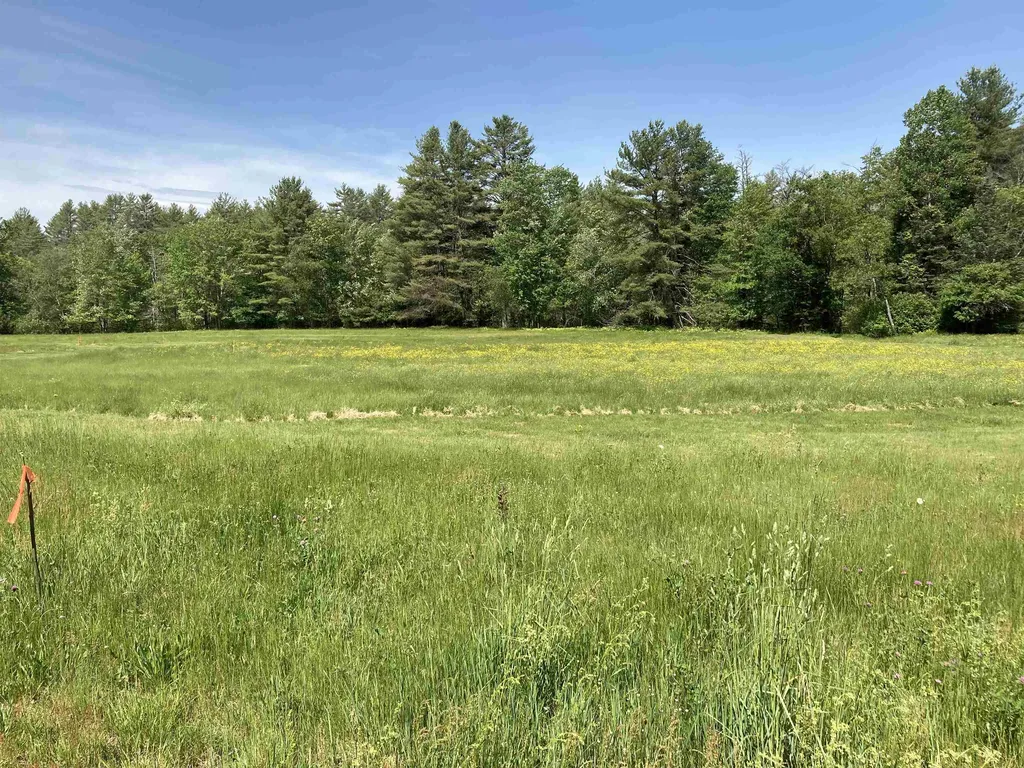 Goose Pond Road Canaan NH 03741