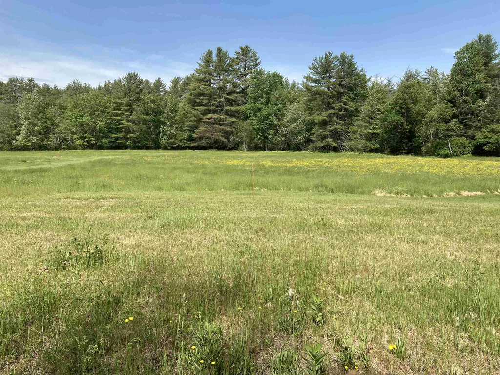 Goose Pond Road Canaan NH 03741
