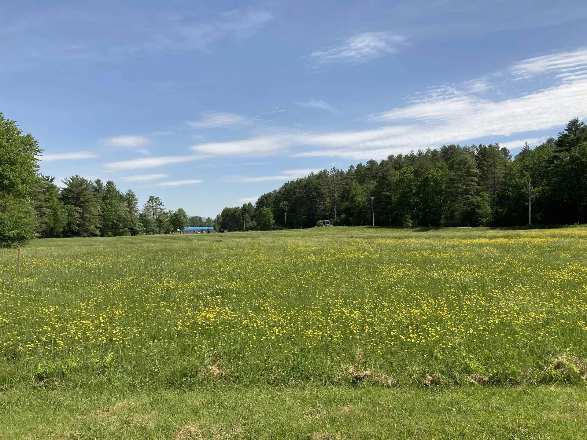Goose Pond Road Canaan NH 03741