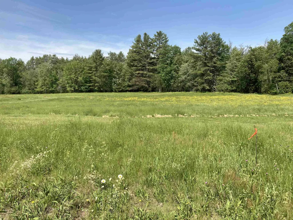 Goose Pond Road Canaan NH 03741