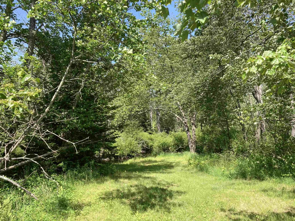 Goose Pond Road Canaan NH 03741