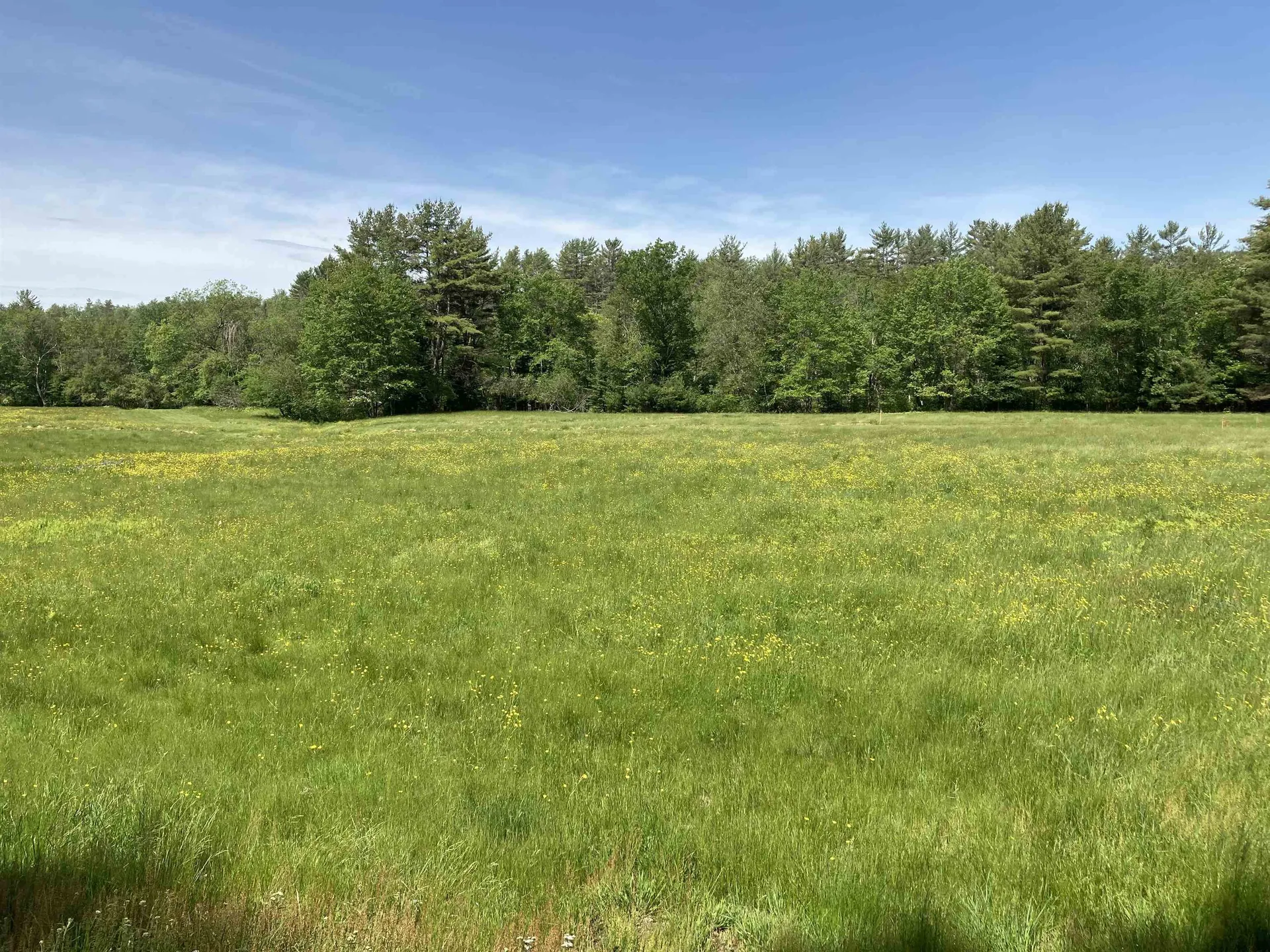 Goose Pond Road Canaan NH 03741