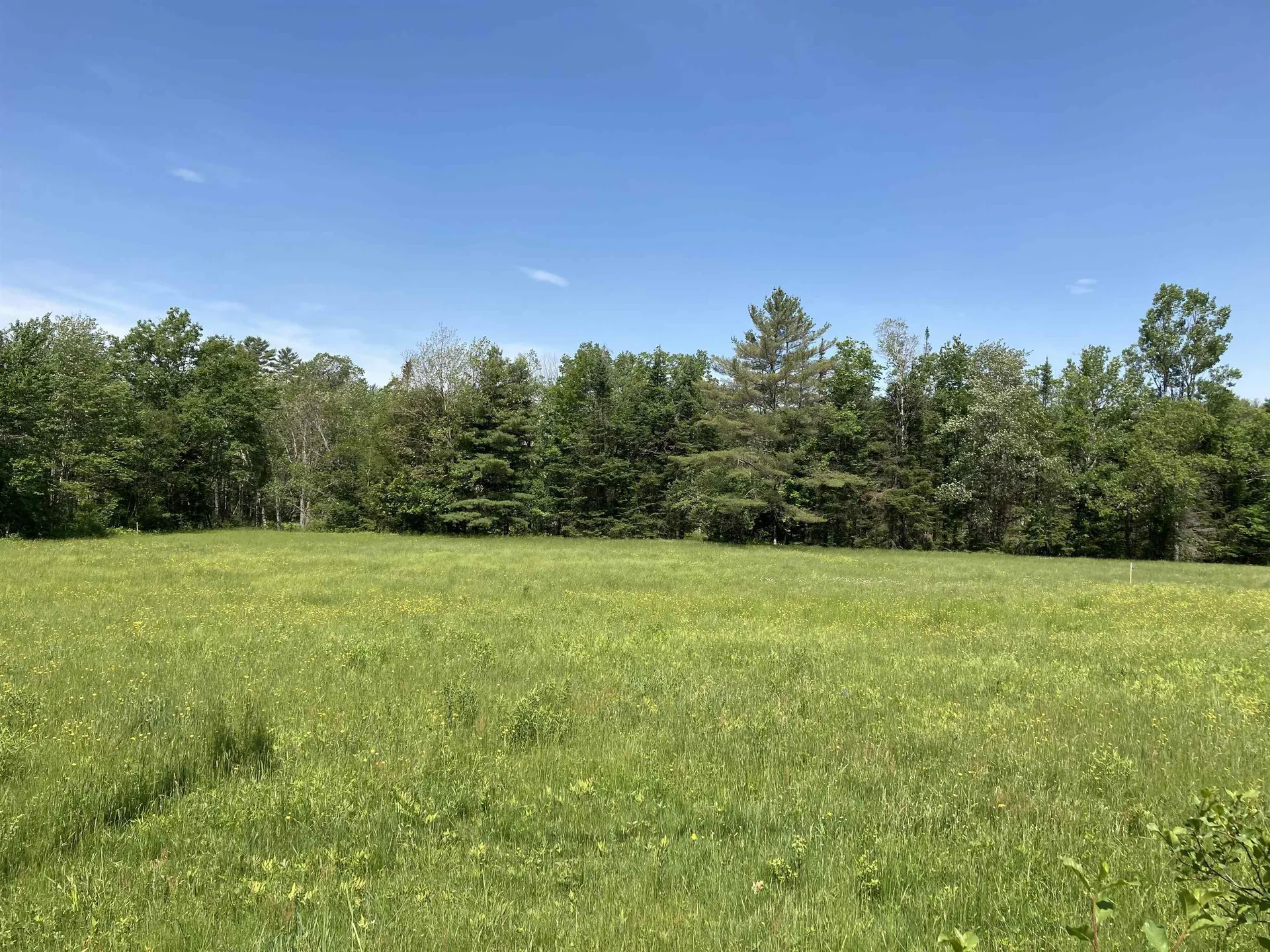 Goose Pond Road Canaan NH 03741