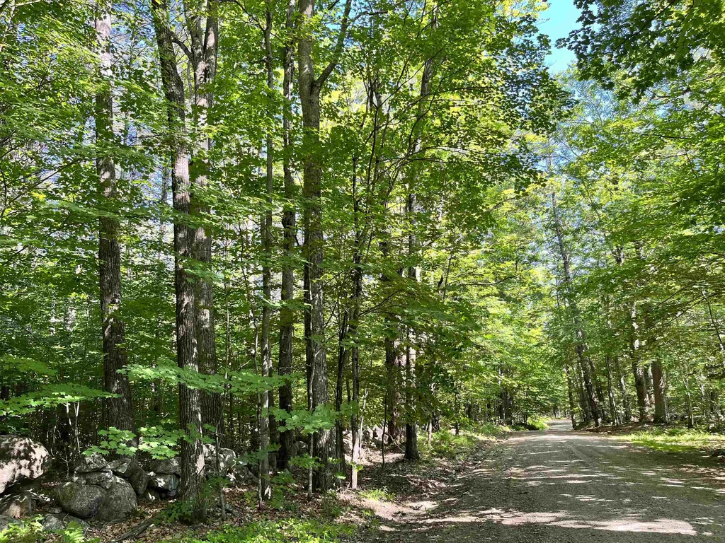 Gerrish Road Webster NH 03303