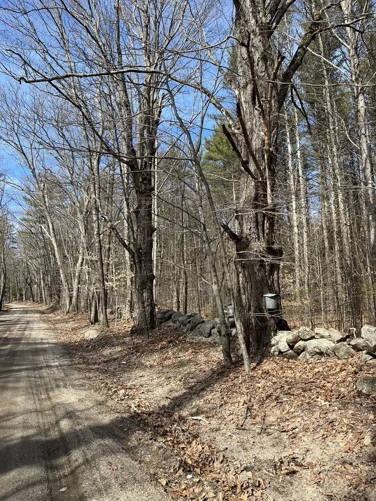 Gerrish Road Webster NH 03303