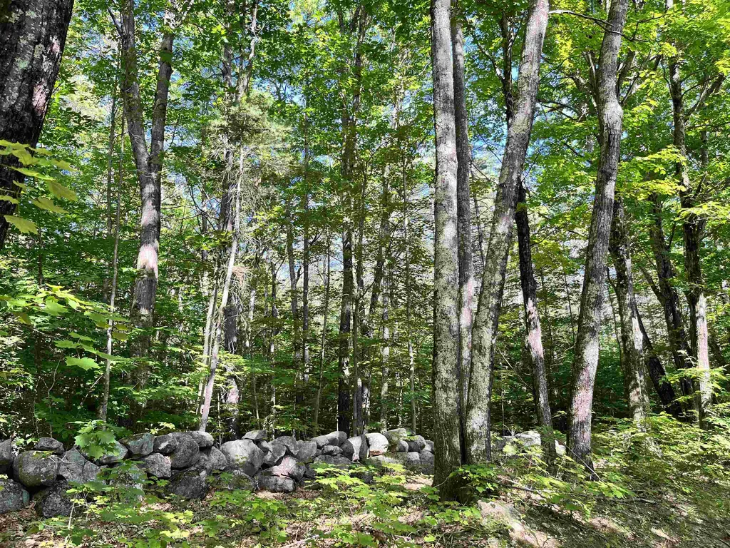 Gerrish Road Webster NH 03303