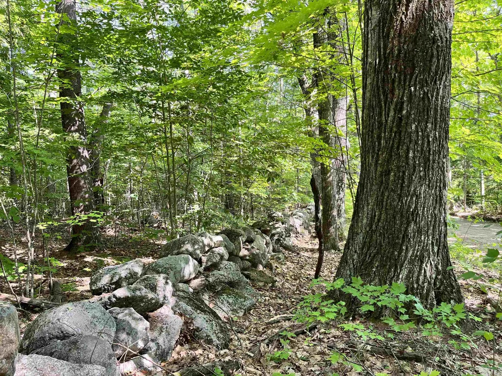 Gerrish Road Webster NH 03303