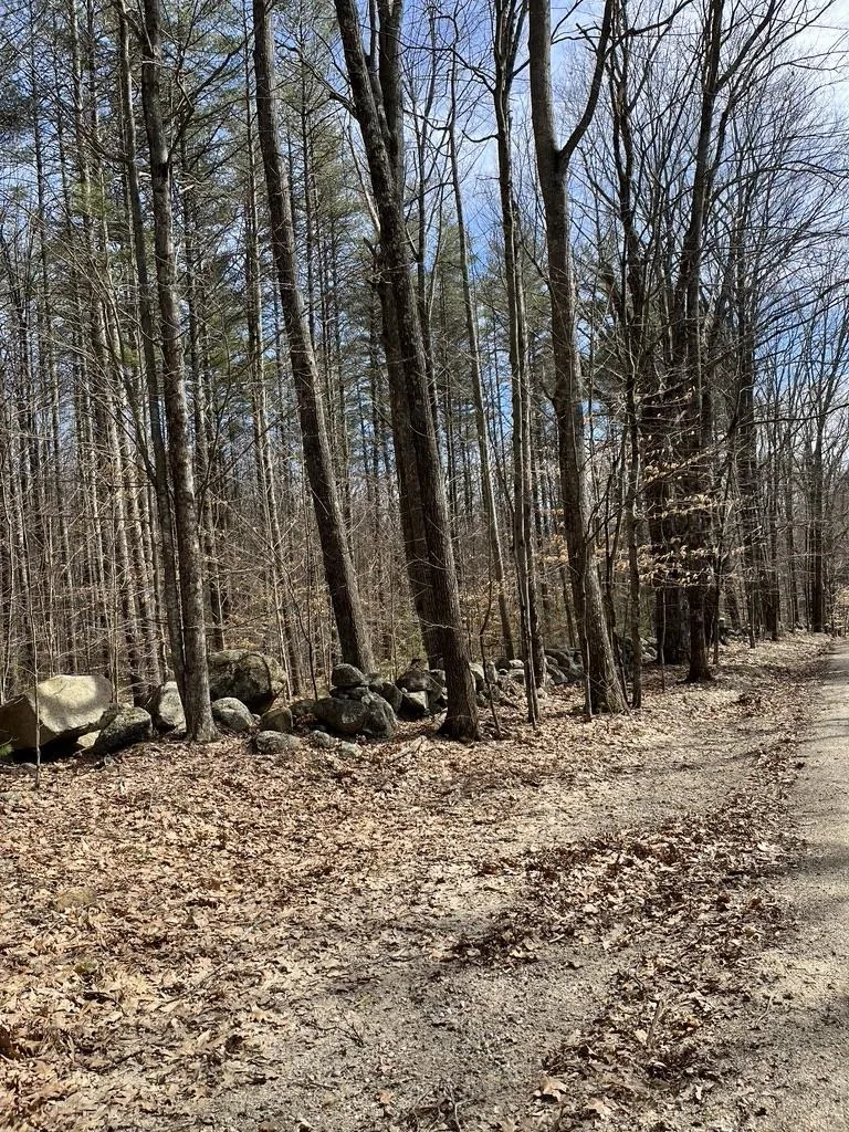Gerrish Road Webster NH 03303