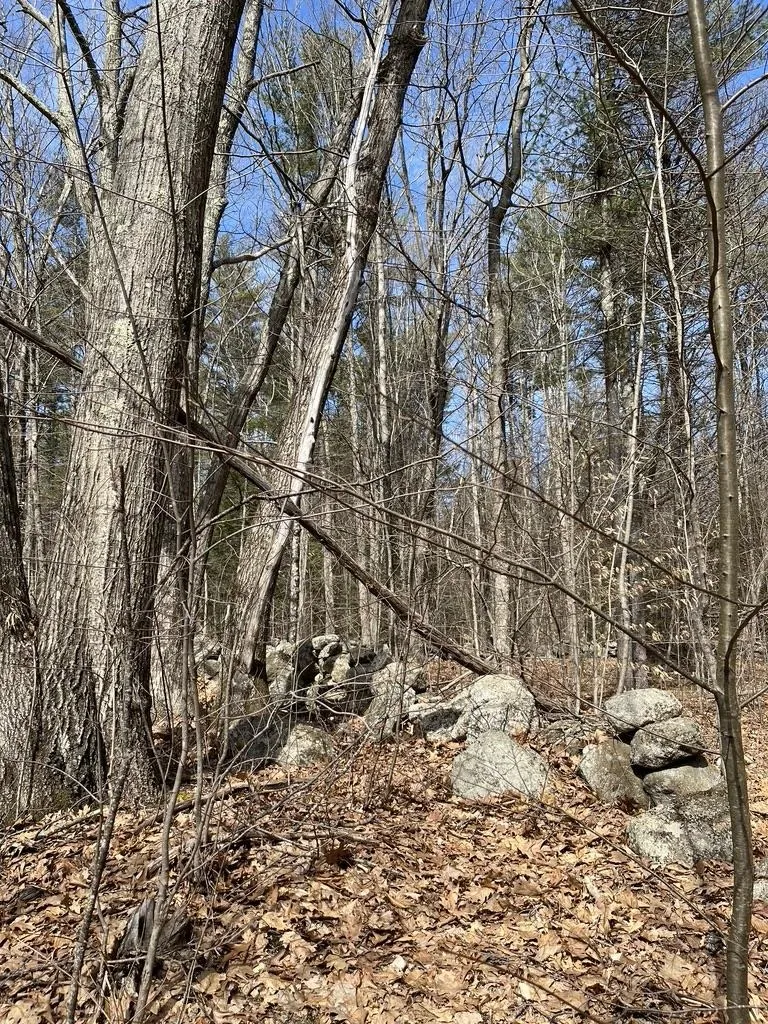 Gerrish Road Webster NH 03303
